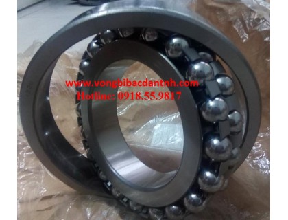 VÒNG BI-BẠC ĐẠN ZWZ-1224-TRÒN NHÀO 2 DÃY